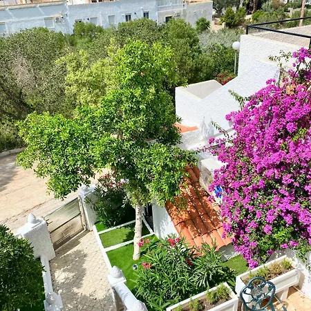 By The Sea With Jacuzzi, Garden & Park View Holiday home Torrevieja